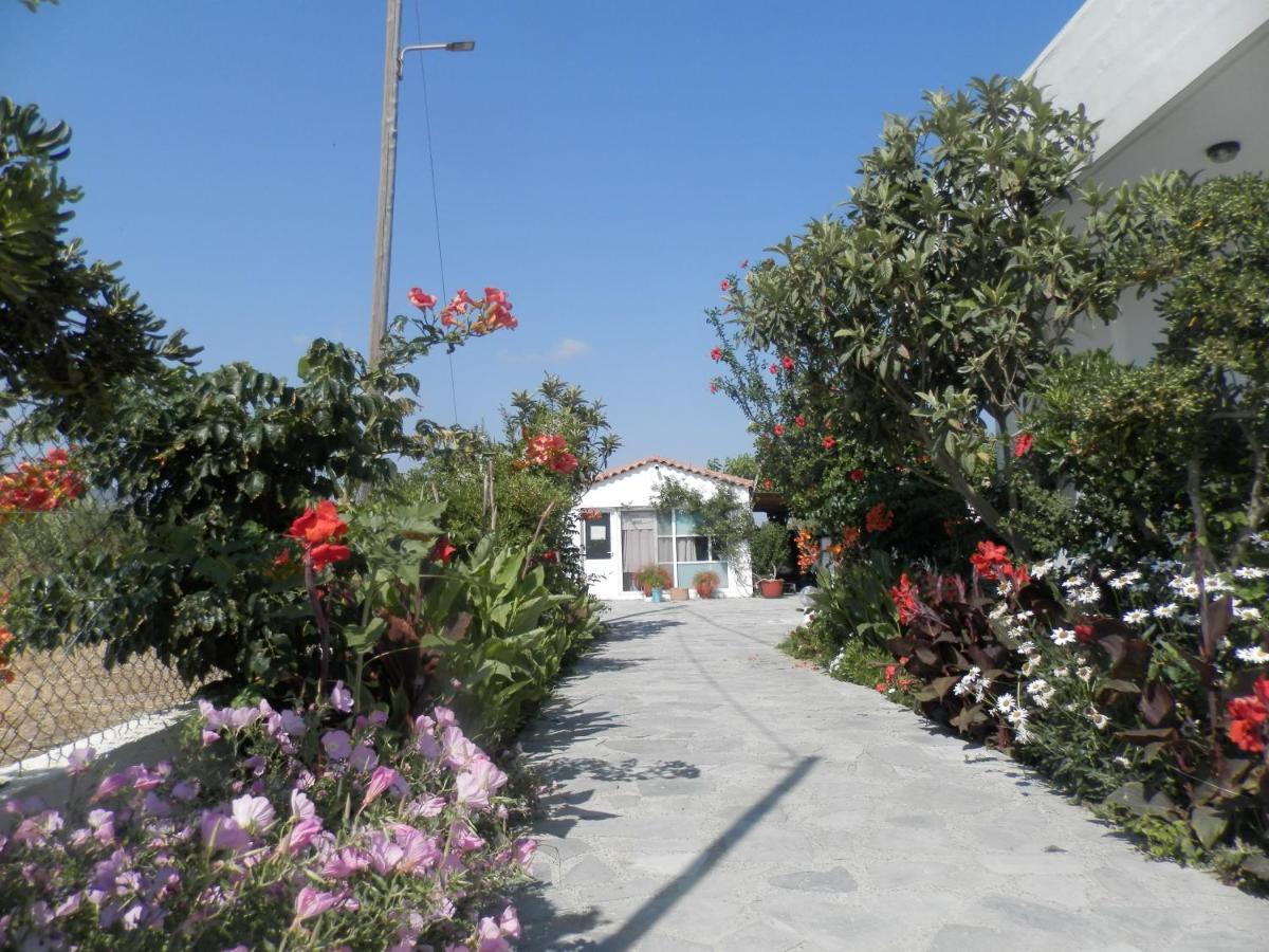 Silvi Mari Apartment Platanes (Rethymno)