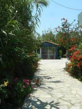 Apartment Silvi Mari *