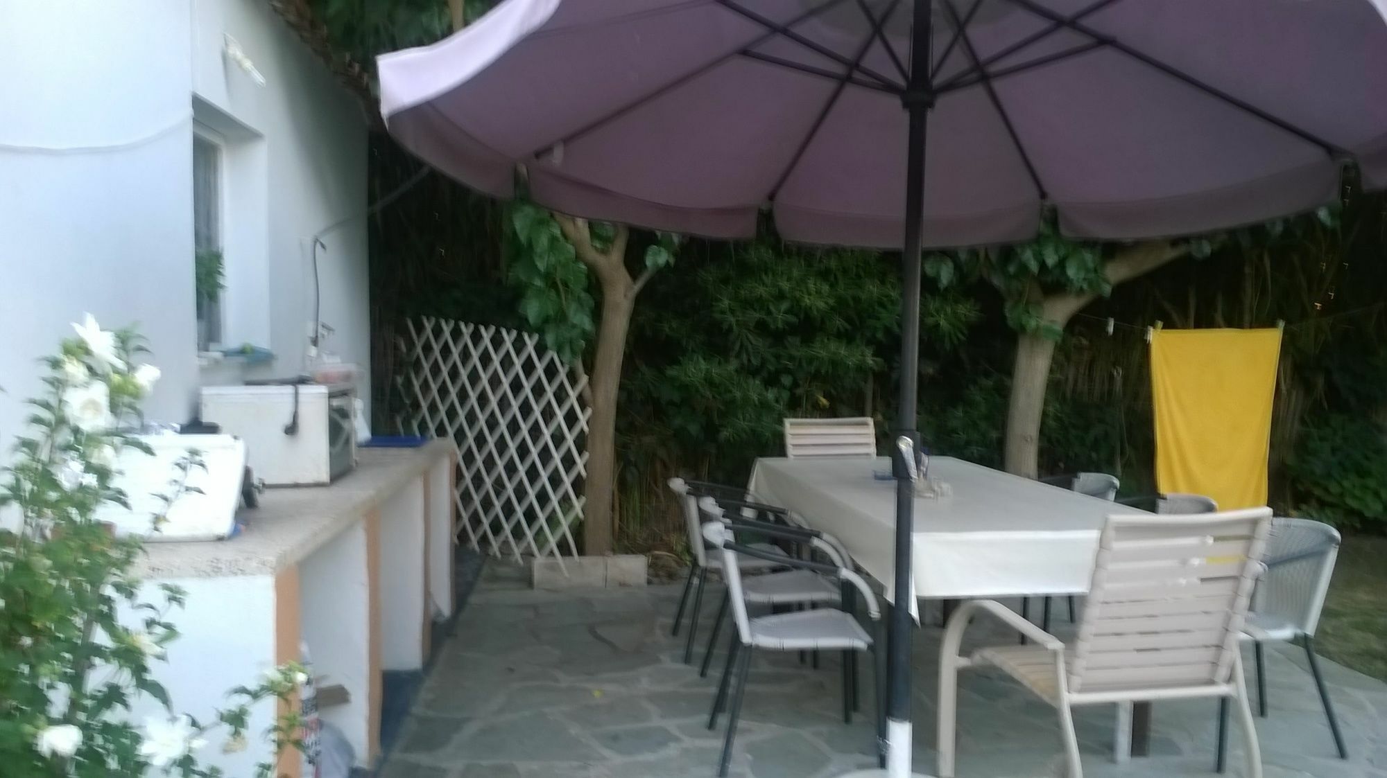 Silvi Mari Platanes (Rethymno)